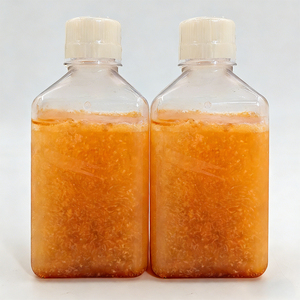 ACE VITRO 500ml Siero Fetale Bovino a Basso Contenuto di Endotossine OEM OBM, Reagenti di Laboratorio per la Coltura di Cellule Staminali e la Ricerca in Scienze della Vita <span class=keywords><strong>FBS</strong></span> - Product Image 6