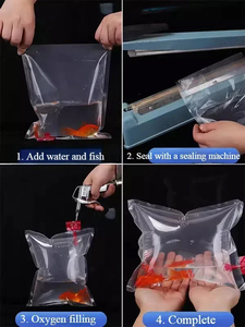 Borsa ornamentale per pesci e <span class=keywords><strong>gamberetti</strong></span> da vivo per imballaggio sacchetti di pesce vivo pesce frutti di mare che trasportano sacchetti gonfiabili ispessenti - Product Image 4