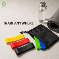 Juego de Mini Bandas de Resistencia TPE de Cinco Niveles OEM ODM con Bolsa de Transporte para Fitness en Casa y Programas de Marca Privada
