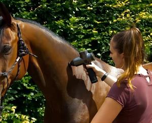 Profession elle tragbare Percussion Fascial Muscle <span class=keywords><strong>Massage</strong></span> Gun für Pferde besitzer - Product Image 6