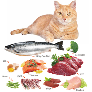 Gibo, suministro de fábrica OEM, comida húmeda para gatos con sabores de pollo y mariscos, golosinas para pasta de carne, productos para mascotas al por mayor - Product Image 5
