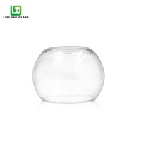 Pot de Poisson en Verre Rond Clair, Vente Chaude, Plusieurs Tailles, pour Plantes ou Bonsaïs, Vente en Gros