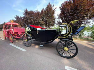Chariot électrique à basse vitesse pour la visite des sites panoramiques des parcs d'attractions - Product Image 4