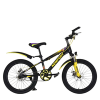 Nouveau Vélo Enfant 20 Pouces avec Freins à Pince et Amortisseurs, Sécurité Unique, Vente en Gros Usine