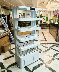 Sistema de Cultivo Hidropónico Inteligente para Interiores con Bomba y PLC para Agricultura Vertical sin Suelo - Product Image 4