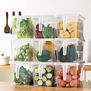 Refrigerator Storage Box With Lid Rectangle L Size Plastic Lid For Fruit Vegetable Kitchen Organization - Product Image 5