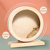 Roue de hamster en bois silencieuse Jouet d'exercice de course silencieux pour hamsters, souris et petits animaux de compagnie, conception anti-stress