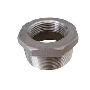 Nhà Máy Giá thép không gỉ BSP NPT ren núm vú Hex 1 "giảm ỐNg Lót - Product Image 5
