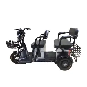 Brand New Tricycle Three Wheeler 1000W Bike Cart Vlo Cargo Poussette 3 Wheel Electric