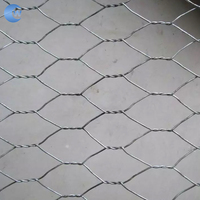 Filet de gabion hexagonal tissé en treillis métallique de fer à trou carré galvanisé personnalisé de 80x10mm pour mur de soutènement