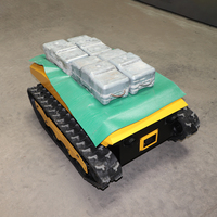Châssis de robot chenillé Tins-13 pour terrains boueux, Dyno personnalisé pour robots de livraison électriques, chenille RC à charge lourde