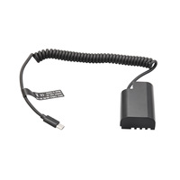Batterie factice DMW-BLF19 pour caméra Panasoni GH5S/GH4/G9-Alimentation 12V Type-C PD, adaptateur secteur continu pour la diffusion en direct
