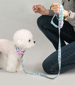 5 En 1 bandolera de dibujos animados mascota manos libres cinturón de plomo ligero Reversible poliéster nailon manos libres correa de perro personalizada - Product Image 5