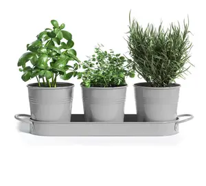 Boerderij Kruidentuinplanter Indoor Plantenbak Set Met Dienblad Vensterbank Plantenbak Grijze Tuin Kruidenpotten