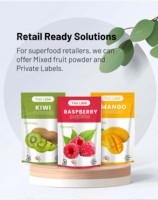 Poudre de jus de fruits aromatisée à l'extrait de fraise lyophilisée naturel de qualité alimentaire pure à 100 %, en vrac, entrepôt USA