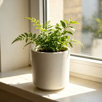 Jardinière auto-arrosante en PP, design cylindrique blanc, moulage direct. Parfait pour décorer les rebords de fenêtre et les bureaux intérieurs.