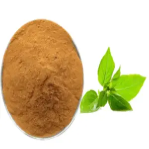 High quality holy basil/ocimum basilicum leaf extract brown powder