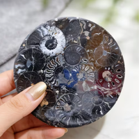 Décoration d'intérieur bohème, plaque d'ammonite noire, pierre de guérison Reiki, cadeau géologique, disque d'ammonite avec support
