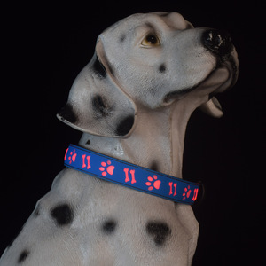 <span class=keywords><strong>Collar</strong></span> Luminoso para Mascotas de Varios Tamaños, <span class=keywords><strong>Collar</strong></span> LED Recargable con Tira Reflectante y Carga Tipo-C para Perros - Product Image 3