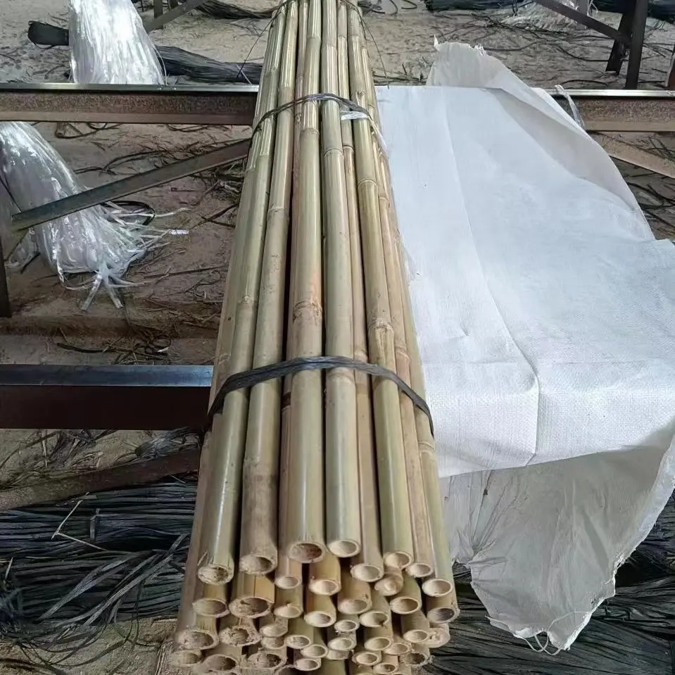 Agriculture bambou cannes tonkin bambou poteaux pour jardin/toit/maison/arbre
