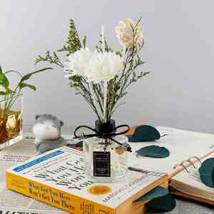 Square Glass <b>Reed</b> <b>Diffuser</b> Set with Dried Flowers and Rattan Balls Long Lasting Fragrance Home <b>Diffuser</b> Oil - Product Image 1