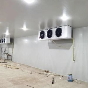 เครื่องสุกกล้วยผลไม้ห้องเย็นเครื่องสุกกล้วย - Product Image 5