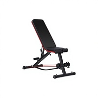 Banc de musculation multifonction pliable de haute qualité en acier allié, réglage du poids, utilisation en intérieur, équipement de gym unisexe