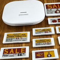 Kit de Etiquetas de Precio Digitales de 2.9 Pulgadas, BLE 5.0, Etiqueta Electrónica para Estantes, Pantalla de Tinta Electrónica, Paletas de Liquidación, Sistema EAS para Almacenes