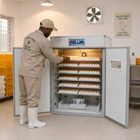 Incubateur à œufs professionnel pour poulets 1056, machine d'éclosion automatique d'œufs à vendre