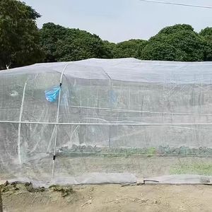 Trong suốt chống côn trùng màn hình lưới nhựa malas antiafidos nông nghiệp nhà kính muỗi lưới - Product Image 2