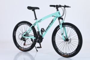 China Factory Cheap 26-Inch 21 Speed High Carbon Steel Stock Disc Spoke Wheel Customized Mountain Bike FSY-YYY-2601 24 Inch Moun - Product Image 5