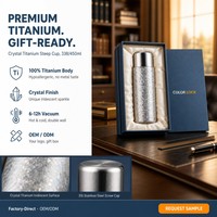 Thermos isotherme en titane pur de 480 ml à double paroi, coffret cadeau d'affaires avec filtre à thé, logo personnalisé, tasse de voyage