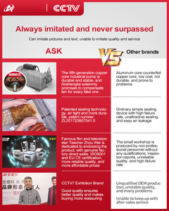 Machine de mise sous vide industrielle/ménagère entièrement automatique pour aliments, viande, fruits et légumes - Product Image 2