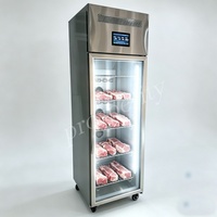 Armoire de décongélation industrielle en acier inoxydable haute performance pour viande, thon et ingrédients
