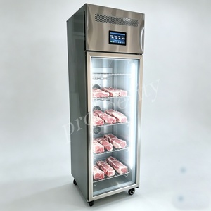 Armadio Scongelatore Industriale in Acciaio Inox ad Alta Produttività per Carne, Tonno e Ingredienti - Product Image 1