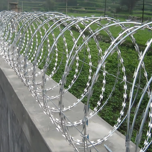 Bobina <span class=keywords><strong>de</strong></span> alambre <span class=keywords><strong>de</strong></span> púas <span class=keywords><strong>de</strong></span> <span class=keywords><strong>acero</strong></span> <span class=keywords><strong>inoxidable</strong></span> <span class=keywords><strong>Concertina</strong></span> Alambre <span class=keywords><strong>de</strong></span> afeitar galvanizado en caliente Precio - Product Image 2