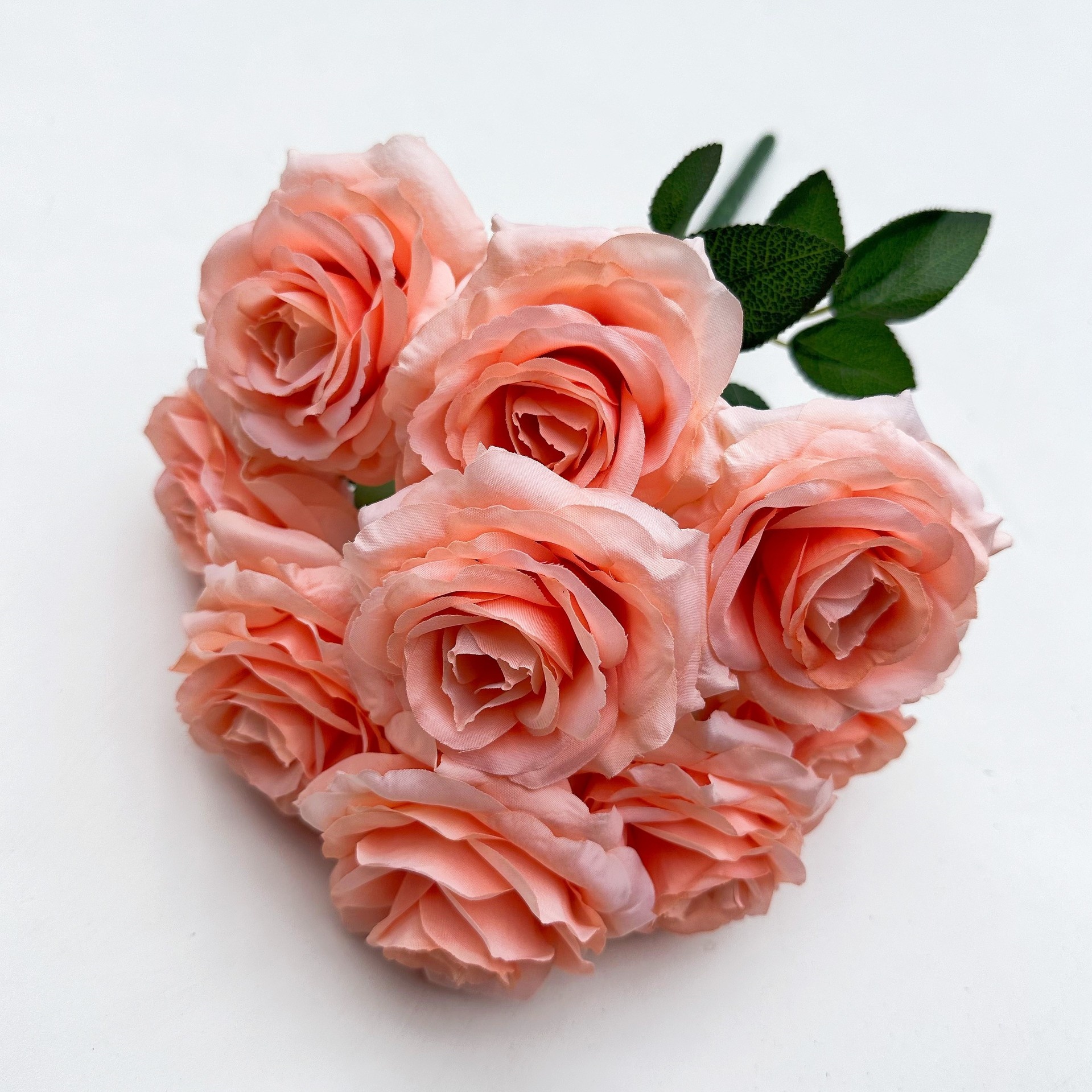 Rose Pêche