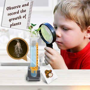 Juguetes Educativos STEM en Oferta para Entusiastas de Jardinería con Niños Mayores de 8 Años, Juego de Juguetes para Clases de Naturaleza, Experimentos de Botánica y Cultivo de Plantas - Product Image 3