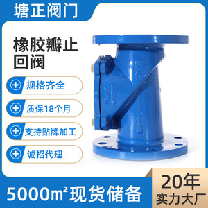 Válvula de Retención de Brida de Goma H44X-16Q de Hierro Dúctil para Tratamiento de Agua a Temperatura Normal, Uso con Brida - Product Image 3
