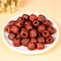 Baies d'aubépine sans pépins, creuses, sucrées et acidulées, certifiées HACCP, friandise de fruits confits, vente en gros, OEM, ODM, approvisionnement direct usine