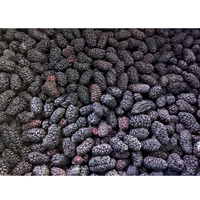 Vers geoogste 10kg moerbeien, individueel snelgevroren om de natuurlijke zoetheid en voedingswaarde te behouden. Diepvriesfruit.