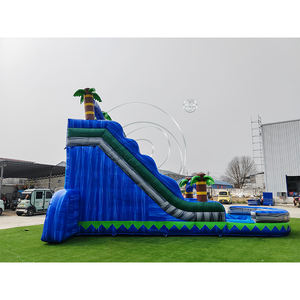 Toboggan aquatique gonflable de qualité commerciale pour adultes, toboggan aquatique gonflable en forme de palmier avec piscine, toboggans gonflables en PVC colorés - Product Image 3