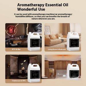 Huile de diffuseur d'arômes d'hôtel, huile parfumée longue durée, 5000 ml, huile essentielle organique composée, 100% pure, nature, aromathérapie douce - Product Image 6