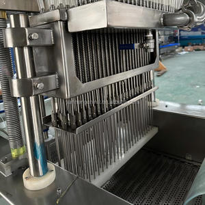 เครื่องฉีดน้ำเกลือสำหรับปรุงเนื้อสัตว์ เครื่องฉีดน้ำเกลืออัตโนมัติสำหรับไก่ เนื้อวัว สเต็ก เครื่องนวดเนื้อไฟฟ้าอัตโนมัติ - Product Image 4