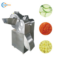 Rapid Suikerbieten Slicer Groente Verwerking Verpletterende Fruit Snijmachine