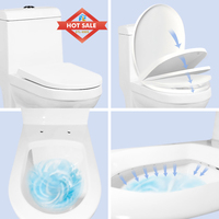 Ensembles de toilettes modernes en céramique dorée, WC monobloc pour salle de bain, modèle chinois