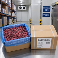 Graad A Halal IQF Diepvries Bayberry Groothandel |   100% natuurlijke verse Waxberry Yangmei voor sappen, smoothies & desserts