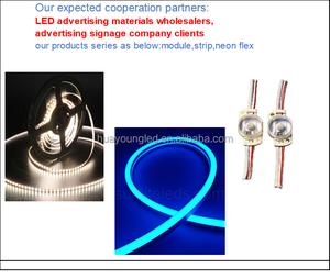 โมดูลไฟ LED สีน้ำเงินกันน้ำ IP68 ปรับแต่งสีได้ สำหรับตกแต่งโฆษณา ใช้แรงดันไฟฟ้า DC12V - Product Image 3