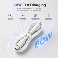 Cable de Carga Tipo C a Tipo C al por Mayor de Fábrica, USB2.0 480Mbps, Sincronización de Datos, Longitud y Empaque Personalizados para Teléfonos, Oficina y Viajes