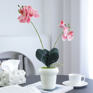 Orchidée Phalaenopsis Artificielle 49cm, Fleur en Soie Faite à la Main, Style Minimaliste, Décoration de Mariage, Plante Artificielle en Pot - Product Image 2